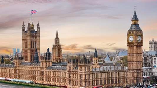 Government and policymakers