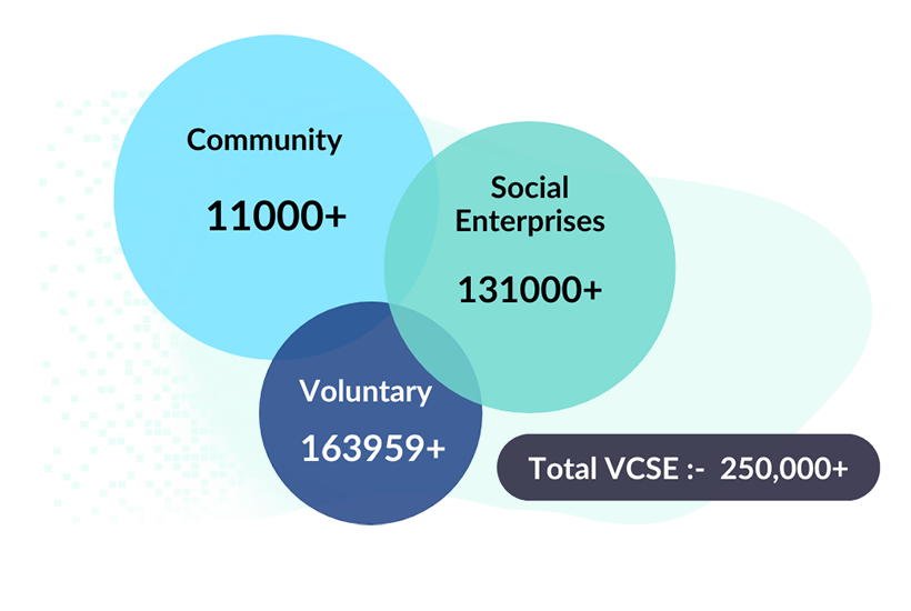 Voluntary, Community, and Social Enterprises